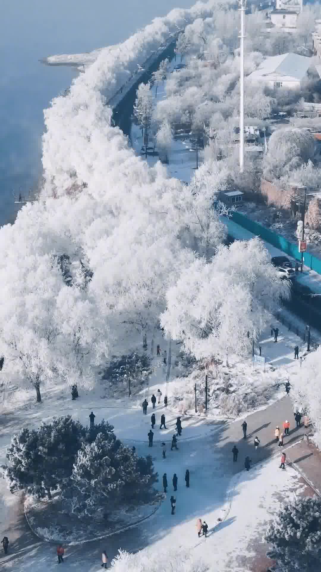 吉林绿色崛起，魅力吉林无限风光