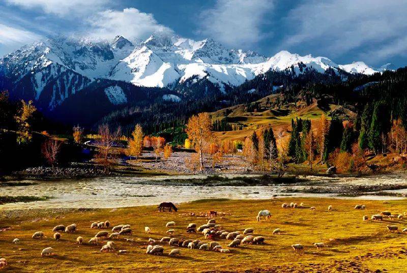 新疆，多元融合之魅力所在